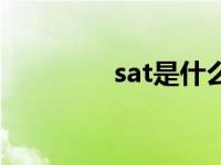 sat是什么（sat什么意思）