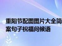 重阳节配图图片大全简单带字，适合九九重阳发朋友圈的文案句子祝福问候语