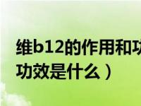 维b12的作用和功效是什么（维B12的作用和功效是什么）