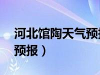 河北馆陶天气预报15天查询（河北馆陶天气预报）