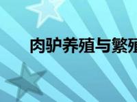 肉驴养殖与繁殖技术（肉驴养殖技术）