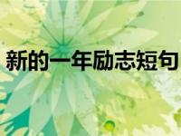 新的一年励志短句（新的一年励志短句大全）