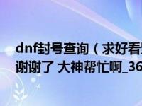 dnf封号查询（求好看竖起来的行会封号  掌门和行会成员 谢谢了 大神帮忙啊_360）