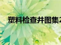 塑料检查井图集2010（塑料检查井图集）