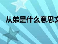 从弟是什么意思文言文（从弟是什么意思）