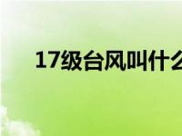 17级台风叫什么（17级台风什么概念）