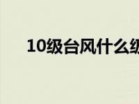 10级台风什么级别（10级台风的威力）