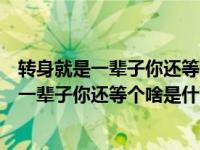 转身就是一辈子你还等个啥是什么歌歌名是什么（转身就是一辈子你还等个啥是什么歌）