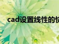 cad设置线性的快捷键（cad线性快捷键）