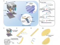 3D 打印微型执行器可以移动小型软机器人 并将其锁定为新形状