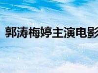 郭涛梅婷主演电影 郭涛导演作欲念游戏上映