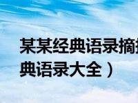 某某经典语录摘抄我17岁这个年纪（某某经典语录大全）