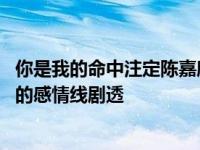 你是我的命中注定陈嘉欣结局是什么 霸气总裁与便利贴女孩的感情线剧透