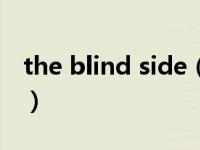 the blind side（关于the blind side的介绍）