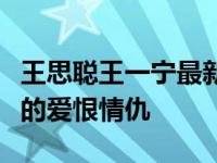 王思聪王一宁最新消息（浅谈王一宁与思聪哥的爱恨情仇