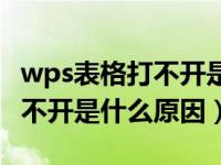 wps表格打不开是什么原因视频（wps表格打不开是什么原因）