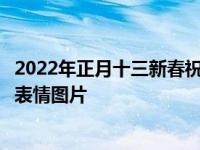 2022年正月十三新春祝福问候语，大年十三最温馨的祝福语表情图片