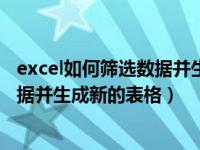 excel如何筛选数据并生成新的表格内容（excel如何筛选数据并生成新的表格）