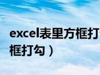 excel表里方框打勾怎么操作（excel表格里方框打勾）