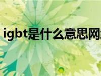 igbt是什么意思网络用语（igbt是什么意思）