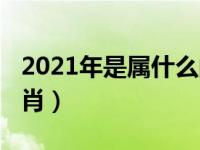 2021年是属什么的生肖（2021年是属什么生肖）