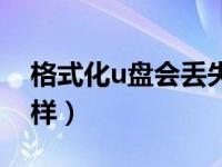 格式化u盘会丢失文件吗（格式化u盘会怎么样）