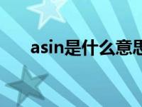 asin是什么意思啊（asin是什么意思）