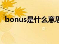 bonus是什么意思啊（bonus是什么意思）