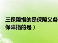 三保障指的是保障义务教育保障基本医疗保障住房安全（三保障指的是）