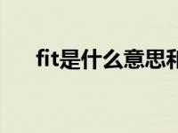 fit是什么意思和词性（fit是什么意思）