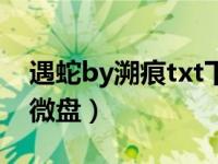 遇蛇by溯痕txt下载宝书网（遇蛇by溯痕txt微盘）