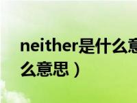 neither是什么意思英语翻译（neither是什么意思）