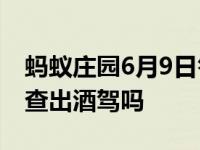 蚂蚁庄园6月9日答案 吃了荔枝开车一定会被查出酒驾吗