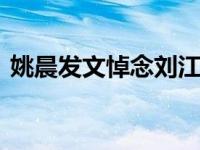 姚晨发文悼念刘江 妻子失声痛哭需旁人搀扶