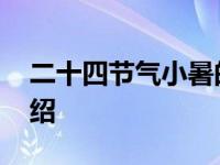 二十四节气小暑的含义 二十四节气小暑的介绍