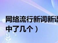 网络流行新词新语大全（这些网络流行新词你中了几个）