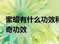 蜜蜡有什么功效和作用（你不可不知的蜜蜡神奇功效