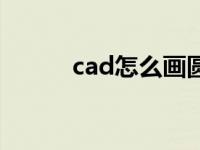 cad怎么画圆形（cad圆形不圆）