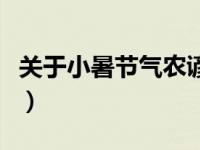 关于小暑节气农谚大全（关于小暑节气的古诗）