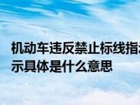 机动车违反禁止标线指示是什么意思 机动车违反禁止标线指示具体是什么意思