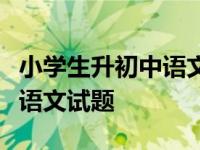 小学生升初中语文考试试卷（小学升初中考试语文试题