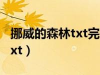 挪威的森林txt完整版全集下载（挪威的森林txt）