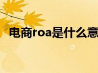 电商roa是什么意思（电商roi是什么意思）