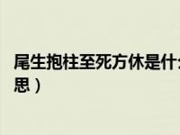 尾生抱柱至死方休是什么意义（尾生抱柱 至死方休是什么意思）