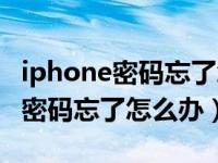 iphone密码忘了怎么办只能刷机吗（iphone密码忘了怎么办）