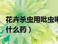 花卉杀虫用吡虫啉如何兑水使用（花卉杀虫用什么药）