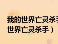 我的世界亡灵杀手v可以造成多少伤害（我的世界亡灵杀手）