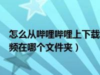 怎么从哔哩哔哩上下载视频到电脑（电脑哔哩哔哩下载的视频在哪个文件夹）