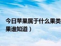 今日苹果属于什么果类（苹果属于哪类水果苹果属于哪类水果谁知道）