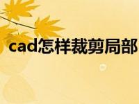 cad怎样裁剪局部（cad如何裁剪一部分图）